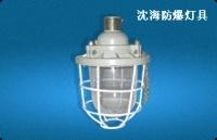 廣州防爆應急燈公司專業解析 高效安全的防爆燈具應用指南